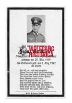 Death Card: Panzer-Abteilung 301 "Funklenk" !