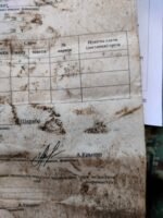 Jacket + Insignia of "Hero of Russia" Officer (Highest Decoration, KIA) - Image 5