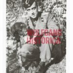 Hans Sandrock - Fallschirm-Panzer-Regiment “Hermann Göring”