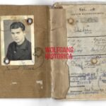 Soldbuch: Infanterie-Regiment 95 & 339, Feldersatz-Btl. 367 (5x Awards incl. Nahkampfspange)