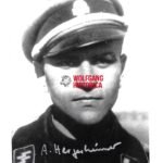 Alfred Hargesheimer – SS-Panzer-Regiment 2 “Das Reich”