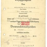 Wound Badge in Silver Award Doc: Grenadier-Regiment 542 (387. Infanterie-Division)