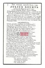 Flemish Waffen-SS Death Card: Juul Geurts (First Flemish EK1-bearer) - Image 2