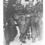 Hugo Eichhorn – SS-Panzer-Pionier-Bataillon 5 “Wiking”