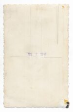 Studioportrait of a Gebirgsjäger Soldier wearing the Verwundetenabzeichen - Image 2