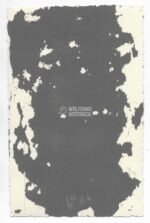 Studioportrait of a Wehrmacht Soldier - Image 2