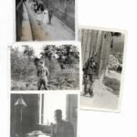 Small lot of Waffen-SS Officer