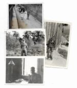 Small lot of Waffen-SS Officer