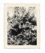 Photo of a KIA German Soldier of the Wehrmacht