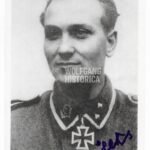 Harald Nugiseks – 20. Waffen-Grenadier-Division der SS (estnische Nr. 1)