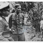 Josef Rhein – Grenadier-Regiment 530 (299. Infanterie-Division)