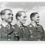 Hermann Hogeback – Lehrgeschwader 1 & Kampfgeschwader 6 (Schwertern)