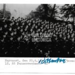 Rudolf von Ribbentrop – SS-Panzer-Regiment 1 “LSSAH” & 12 “Hitlerjugend” (Kharkov, Kursk, Normandy & Ardennes!)