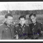 Willi Hammerich - Grenadier-Regiment 956 (362. Infanterie-Division)