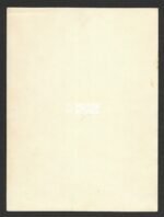 Portrait of Luftwaffe Major wearing DKIG - Image 2