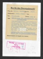 TOP Propaganda Photo of DKIG & RK of the Kleinkampfverbände earned in Normandy (!) - Image 2