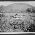 Herbert Fries - Fallschirm-Panzerjäger-Abteilung 1 (Pantherturm!)