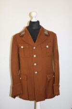 Early NSDAP Kreisleitung Uniform - Image 2