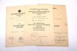 Soldbuch & Award Doc Set: Gren.Rgt. 29 (3. PGD) (EK2 with Reason of Award in France 1944 + Signed by Stalingrad RKT!) - Image 13
