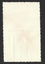 Luftwaffe Hermann Göring Soldier in Tropical Uniform + Cufftitle! - Image 2