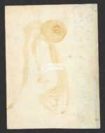 Flak & Kriegsmarine Soldier Studioportrait - KM wearing Cap Badge! - Image 2