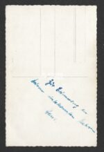 Studioportrait Kriegsmarine Sailor with Awards - Image 2