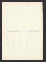 Studioportrait of Soldier from Gebirgsjäger-Regiment 100 - Image 2