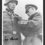 Josef “Sepp” Lainer – SS-Panzer-Grenadier-Regiment 4 “Der Führer” (RK + NKIG!)