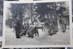 Waffen-SS, Allgemeine-SS & Polizei Photolot - Image 18