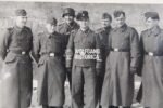 Waffen-SS, Allgemeine-SS & Polizei Photolot - Image 21