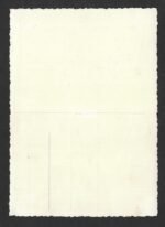 Studioportrait Wehrmacht Soldier wearing M42 Stahlhelm - Image 2