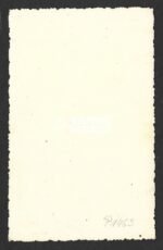 Studioportrait of Waffen-SS "LAH" Soldier - Image 2