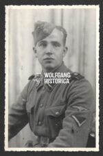 Studioportrait of Waffen-SS "LAH" Soldier
