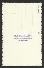 Studioportrait Wehrmacht NCO wearing ISA & VWA - Image 2