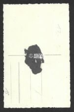 Studioportrait Luftwaffe NCO wearing Awards & Medal Bar - Image 2