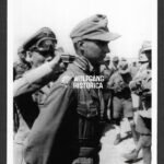 Günter Halm – Panzergrenadier-Regiment 104 (15. Panzer-Division, Afrika)