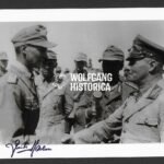 Günter Halm – Panzergrenadier-Regiment 104 (15. Panzer-Division, Afrika) (A5 Size)