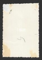 Waffen-SS Photo with Wehrmacht Friend/Relative - Image 2