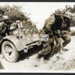 German Press Photo – W-SS Soldiers in Camo in Carentan, Normandy
