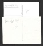 2x Photographs of event with NSDAP, Allgemeine SS etc. - Image 2