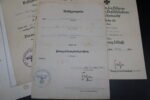 Wehrpass & Award Documents - Schützen-Regiment 13 (5. Panzer-Division) - Image 7