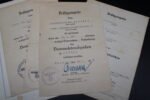 Wehrpass & Award Documents - Schützen-Regiment 13 (5. Panzer-Division) - Image 5