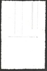 Studioportrait of Waffen-SS Soldier - Image 2