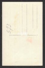 Studioportrait of young Waffen-SS Soldier (Crystal Sharp Quality!) - Image 2