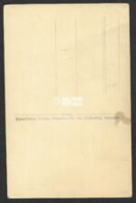 Studioportait of HJ, Allgemeine-SS and SA member - Image 2