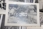 Exceptional Fallschirmjäger Photo Grouping – Kreta 1941 (63 Photos + Postcard + Death Card) - Image 3