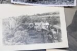 Exceptional Fallschirmjäger Photo Grouping – Kreta 1941 (63 Photos + Postcard + Death Card) - Image 7