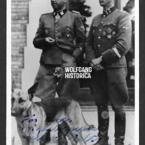 Hubert Meyer – SS-Panzer-Division “LSSAH” & “Hitlerjugend”