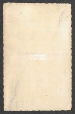 Studioportrait of a Waffen-SS soldier wearing a tinnie - Image 2