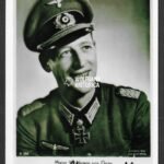 Waldemar von Gaza – Panzergrenadier-Regiment 66 (Schwertern)
